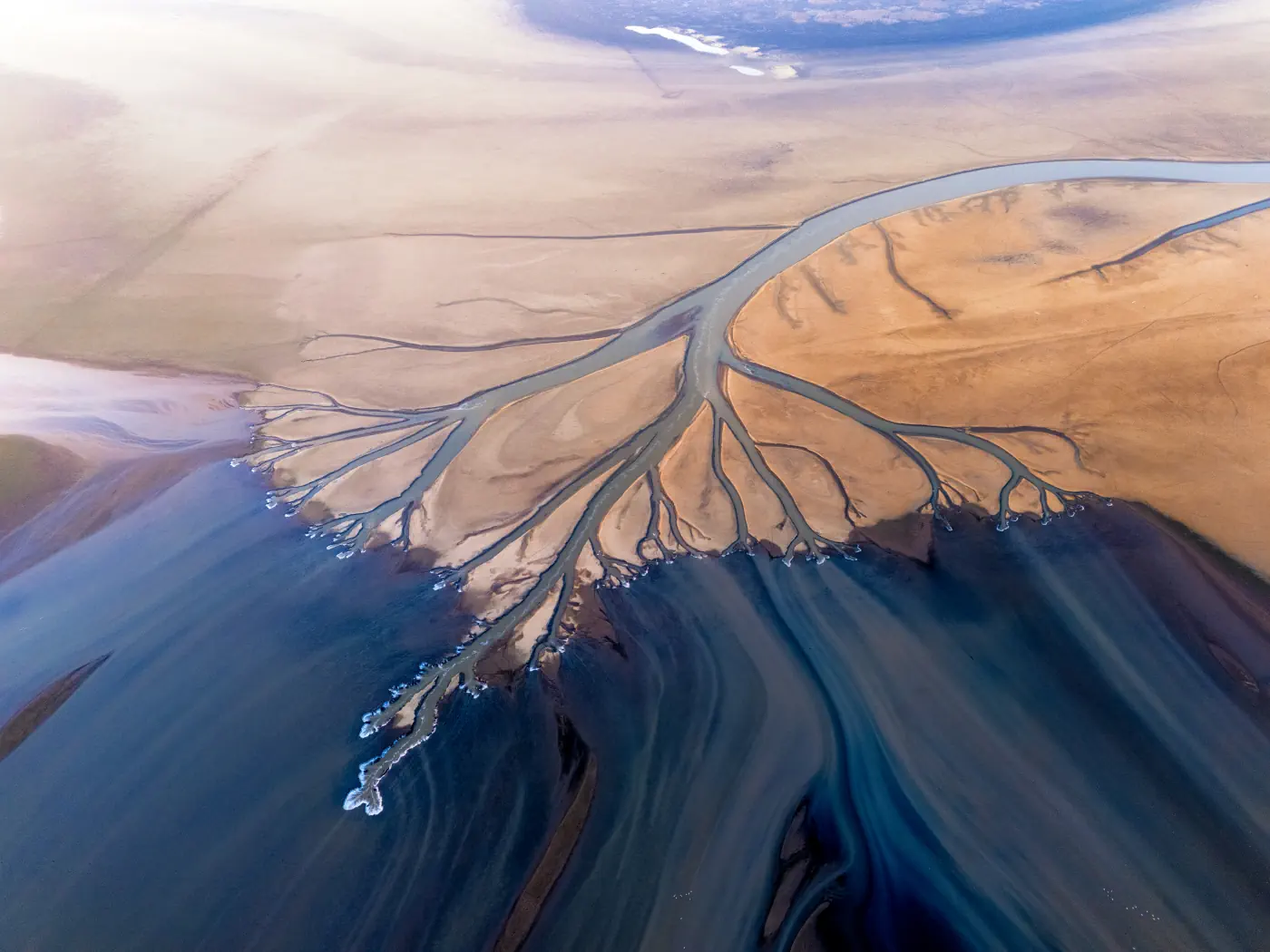 Branching channels across colorful wetland landforms